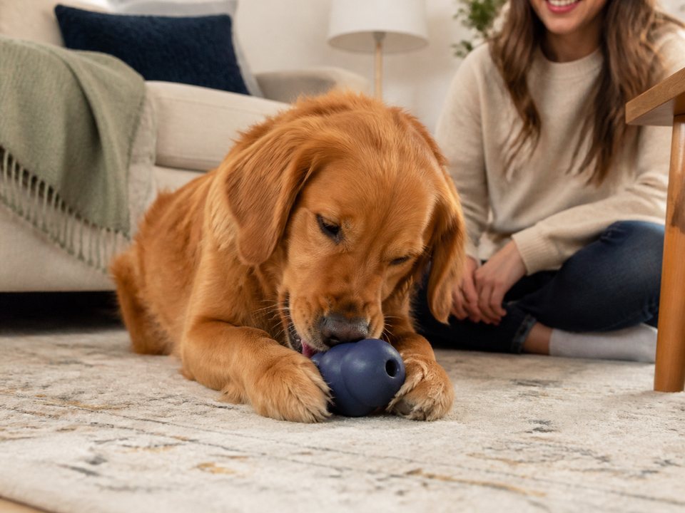 KONG Classic Dog Toy
